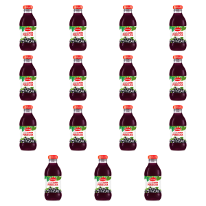 Fortuna Nektar czarna porzeczka 300 ml X15